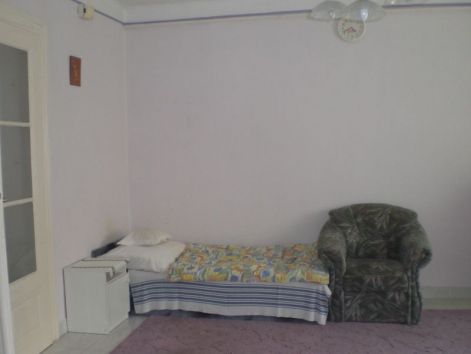 remeny_6-08m.jpg